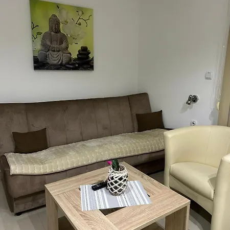 San -u Centru Apartamento Soko Banja